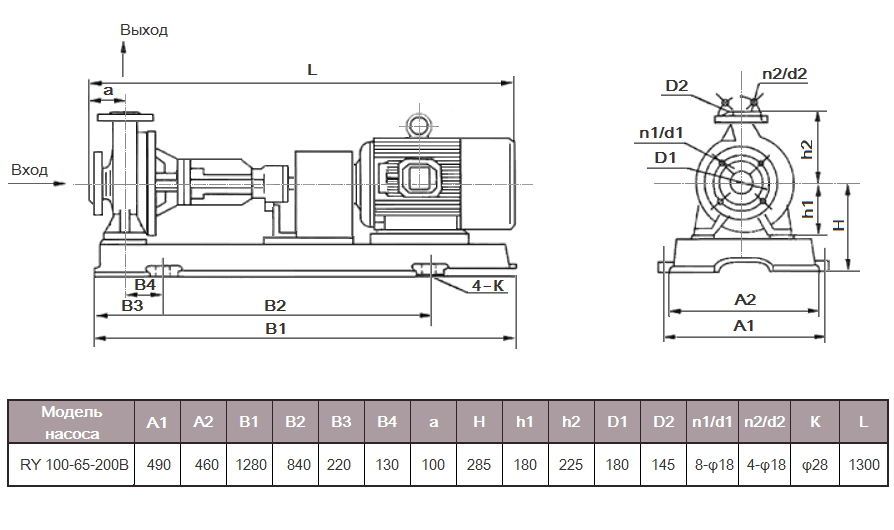 Габаритный чертеж насоса ZY Technology RY 100-65-200B