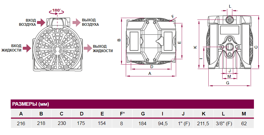 Габаритный чертеж насоса Samoa DF100_PB
