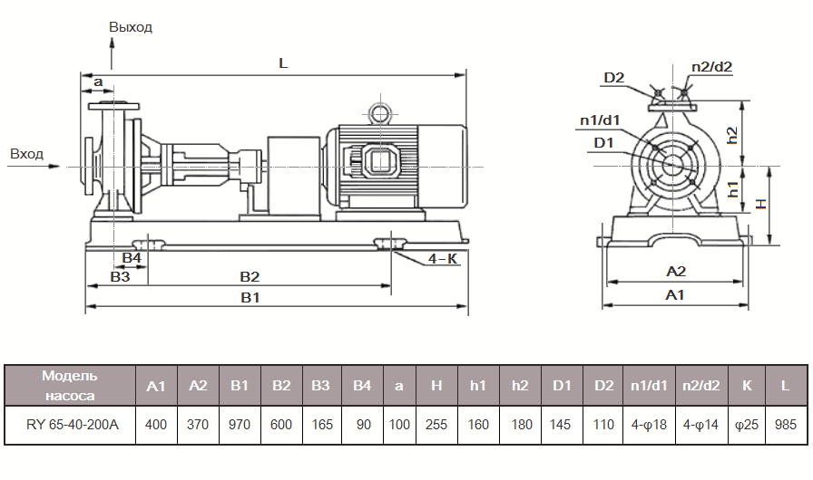Габаритный чертеж насоса ZY Technology RY 65-40-200А