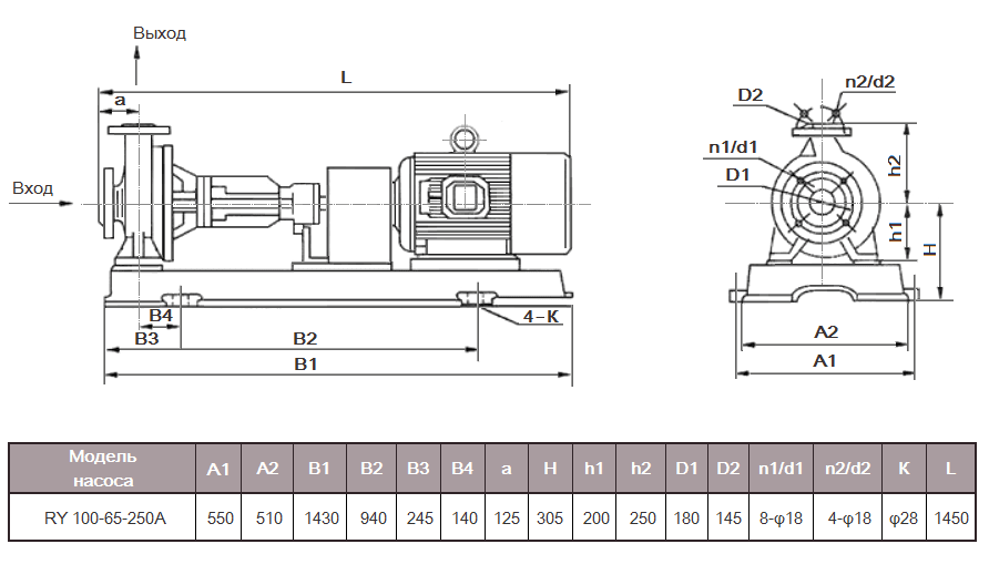 Габаритный чертеж насоса ZY Technology RY 100-65-250А