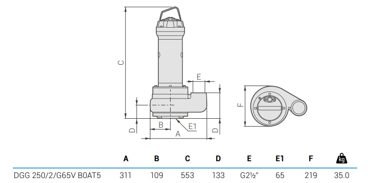 Габаритный чертеж насоса Zenit DGG 250/2/G65V B0AT5
