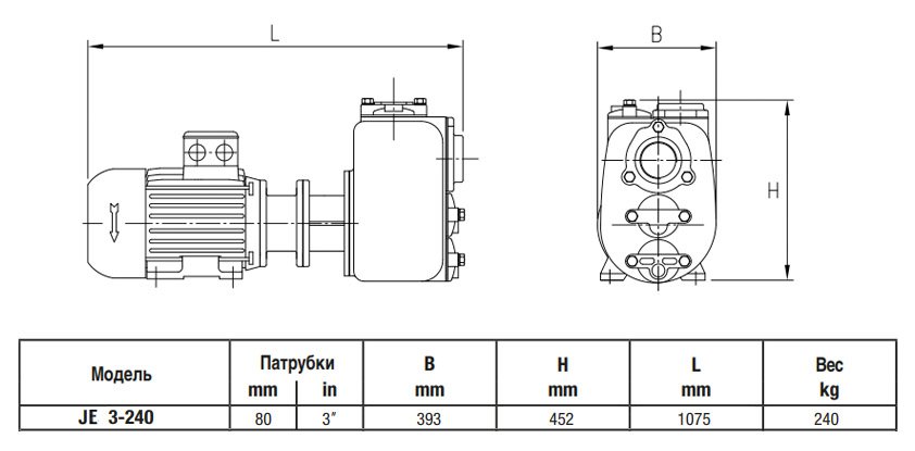 Габаритный чертеж насоса Varisco JE 3-240 G10 FT20