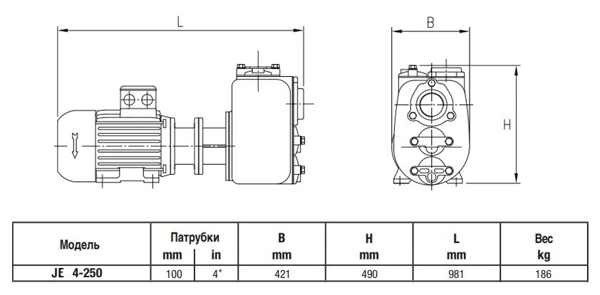 Габаритный чертеж насоса Varisco JE 4-250 G11 FT40