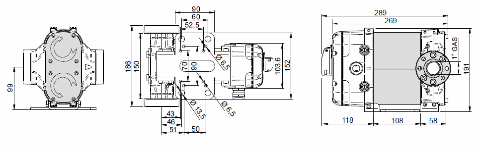 Габаритный чертеж насоса Piusi Bipump DC 24V