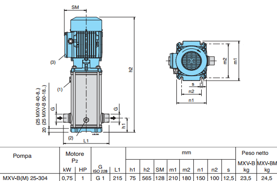 Габаритный чертеж насоса Calpeda MXV-BM 25-304