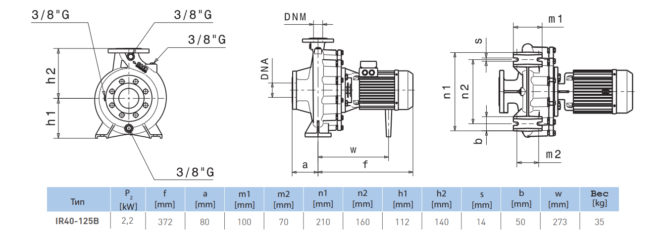 Габаритный чертеж насоса Saer IR40-125 B