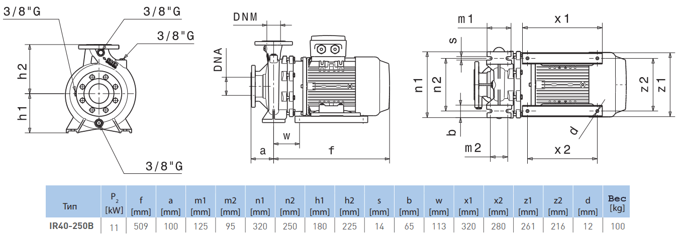 Габаритный чертеж насоса Saer IR40-250 B