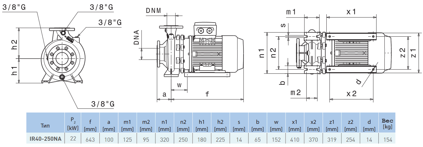 Габаритный чертеж насоса Saer IR40-250 NA