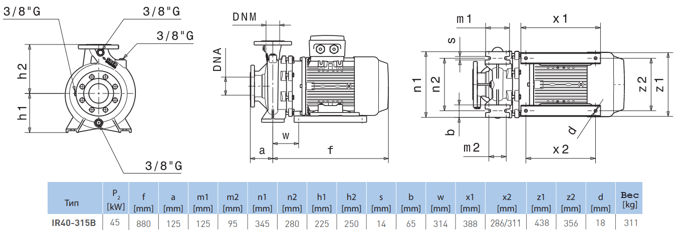 Габаритный чертеж насоса Saer IR40-315 B