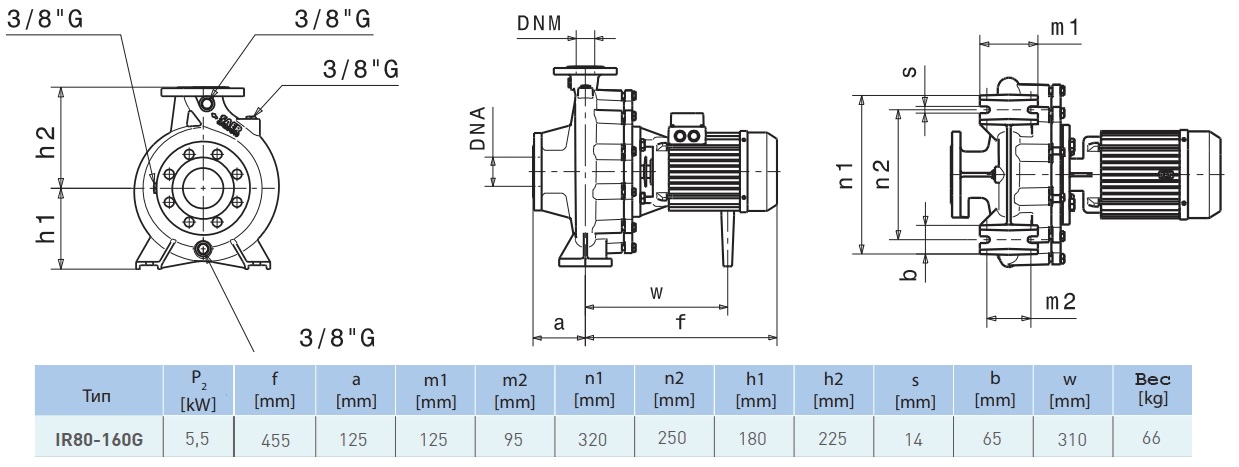 Габаритный чертеж насоса Saer IR80-160 G