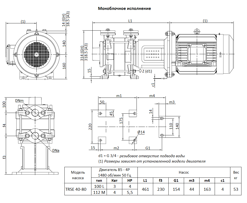 Габаритный чертеж вакуумного насоса Pompetravaini TRSE 40-80* F
