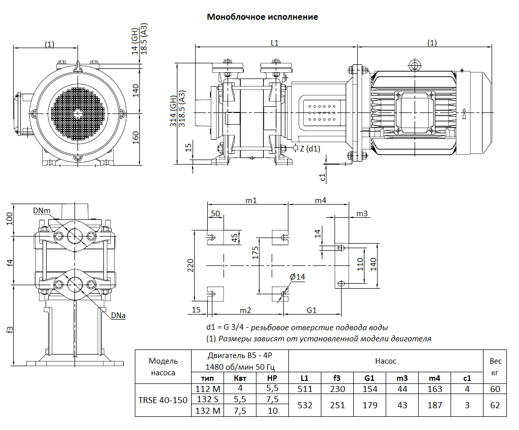 Габаритный чертеж вакуумного насоса Pompetravaini TRSE 40-150* F