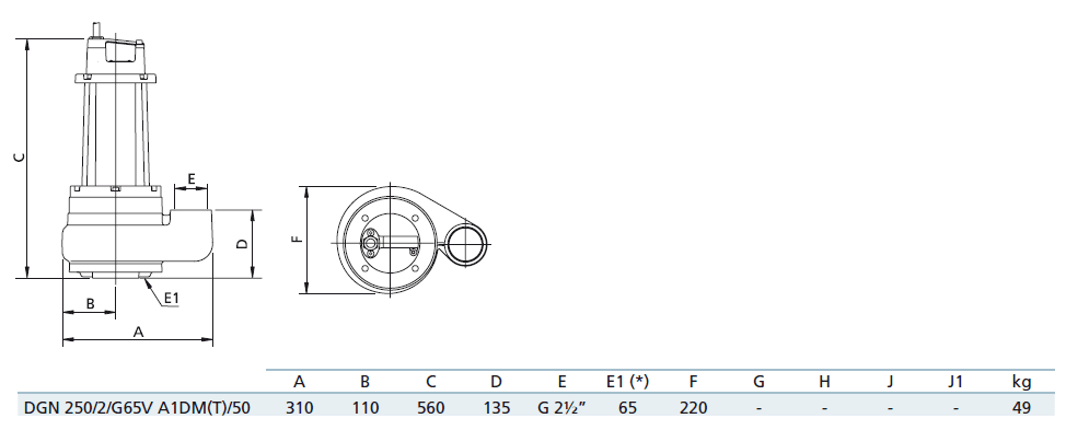 Габаритный чертеж насоса Zenit DGN 250/2/G65V A1DT5
