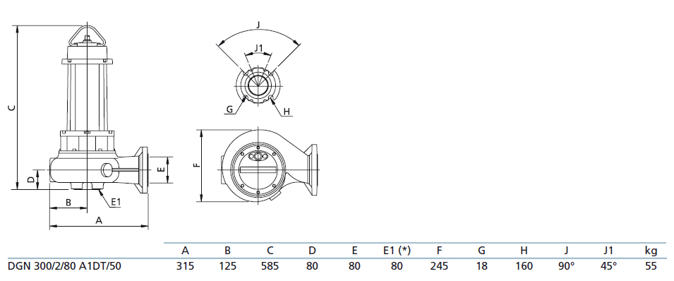 Габаритный чертеж насоса Zenit DGN 300/2/80 A1DT5