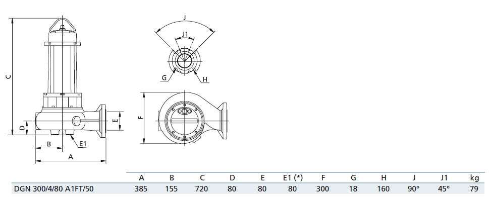 Габаритный чертеж насоса Zenit DGN 300/4/80 A1FT5