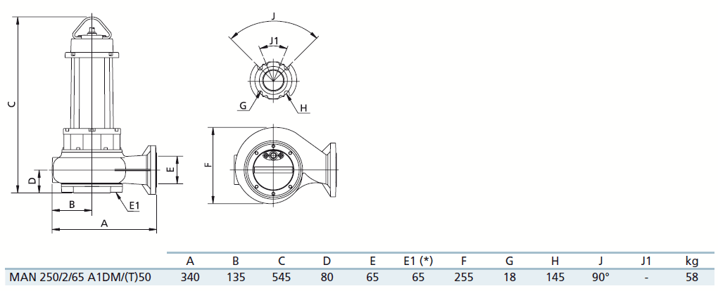 Габаритный чертеж насоса Zenit MAN 250/2/65 A1DT5