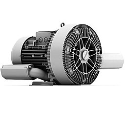 Воздуходувка вихревая Elektror 2SD 920-125