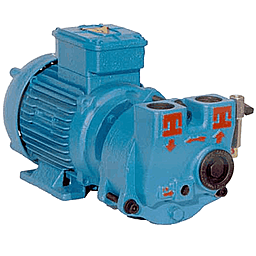 Водокольцевой вакуумный насос Pompetravaini TRMB 25-30 GH