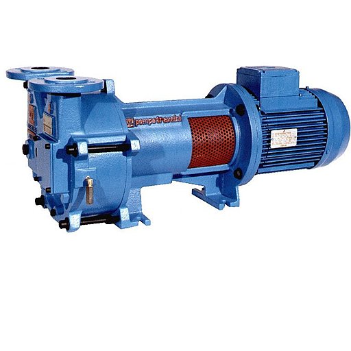 Внешний вид насоса Pompetravaini TRVB 40-110 F  