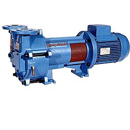 Водокольцевой вакуумный насос Pompetravaini TRVB 40-110 F