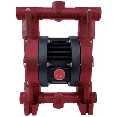 Внешний вид модели Ruby 020P-P-EEE