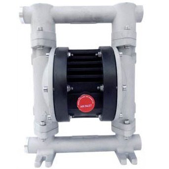 Внешний вид модели Ruby 020A-P-TAS