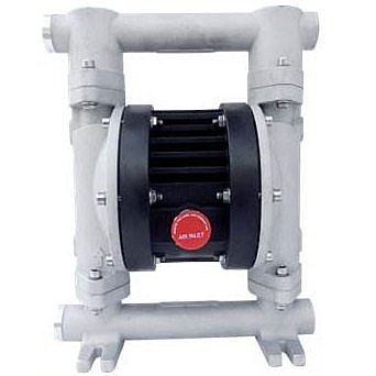 Внешний вид модели Ruby 020A-P-EEE