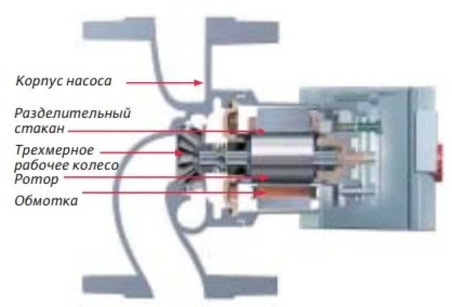 насос с мокрым ротором в разрезе