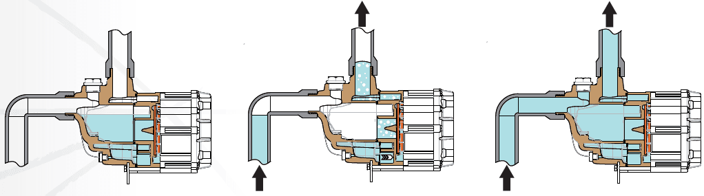порядок заполнения водой насоса Argal TMA 10.14 при самовсосе