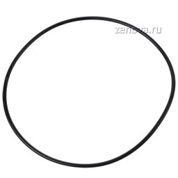 Уплотнительное кольцо для ZW#10