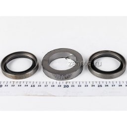 Манжетное уплотнение LQRYN#40