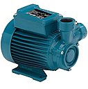 Вихревой насос Calpeda CT 61