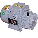 Безмасляные вакуумные насосы Pneumofore UVD