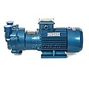 3D-фото Моноблочный водокольцевой вакуумный насос SL Vacuum SKA-2071 (колесо чугун)