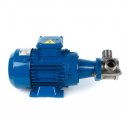3D-фото Импеллерный насос Ortasinox GP 32 MN-TF-007-4
